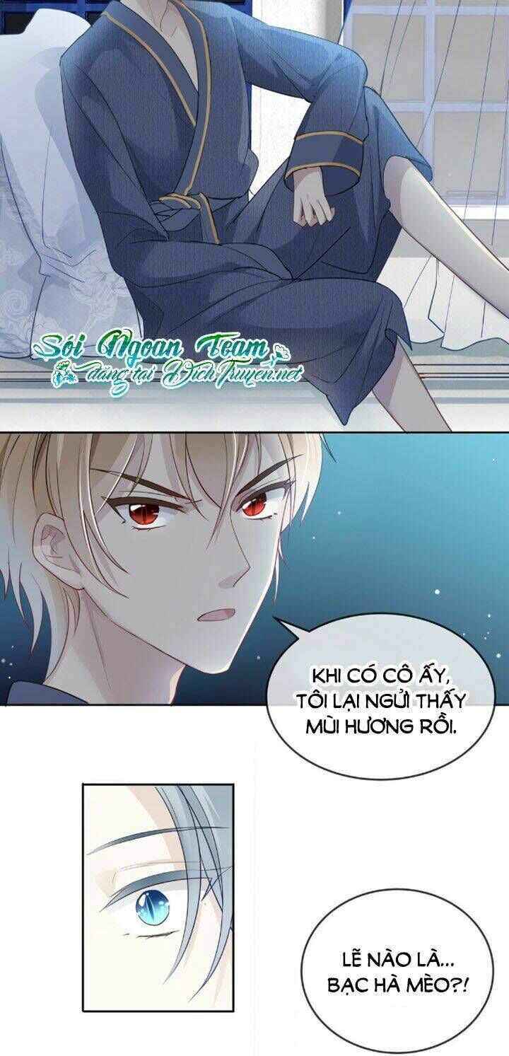 Em Là Bạc Hà Mèo Của Tôi Chapter 4 - Trang 2