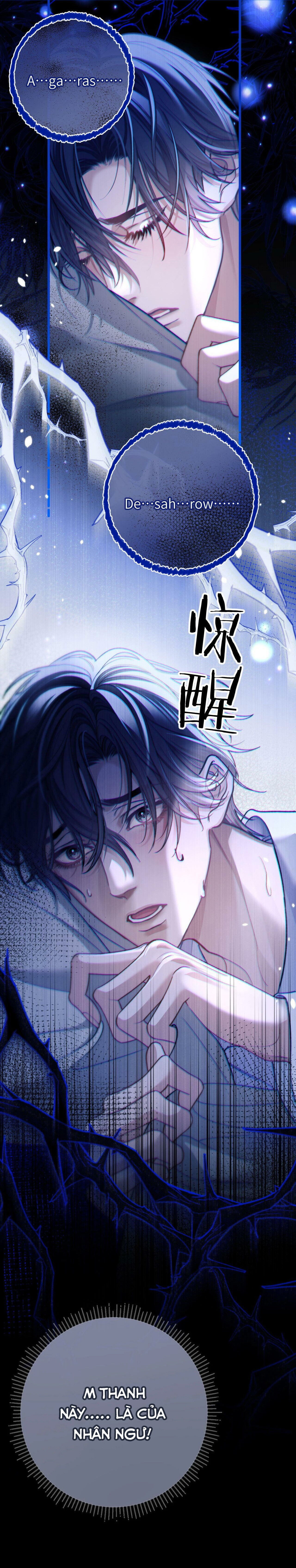 Desharow Nhân Ngư Chapter 13 - Next Chapter 14