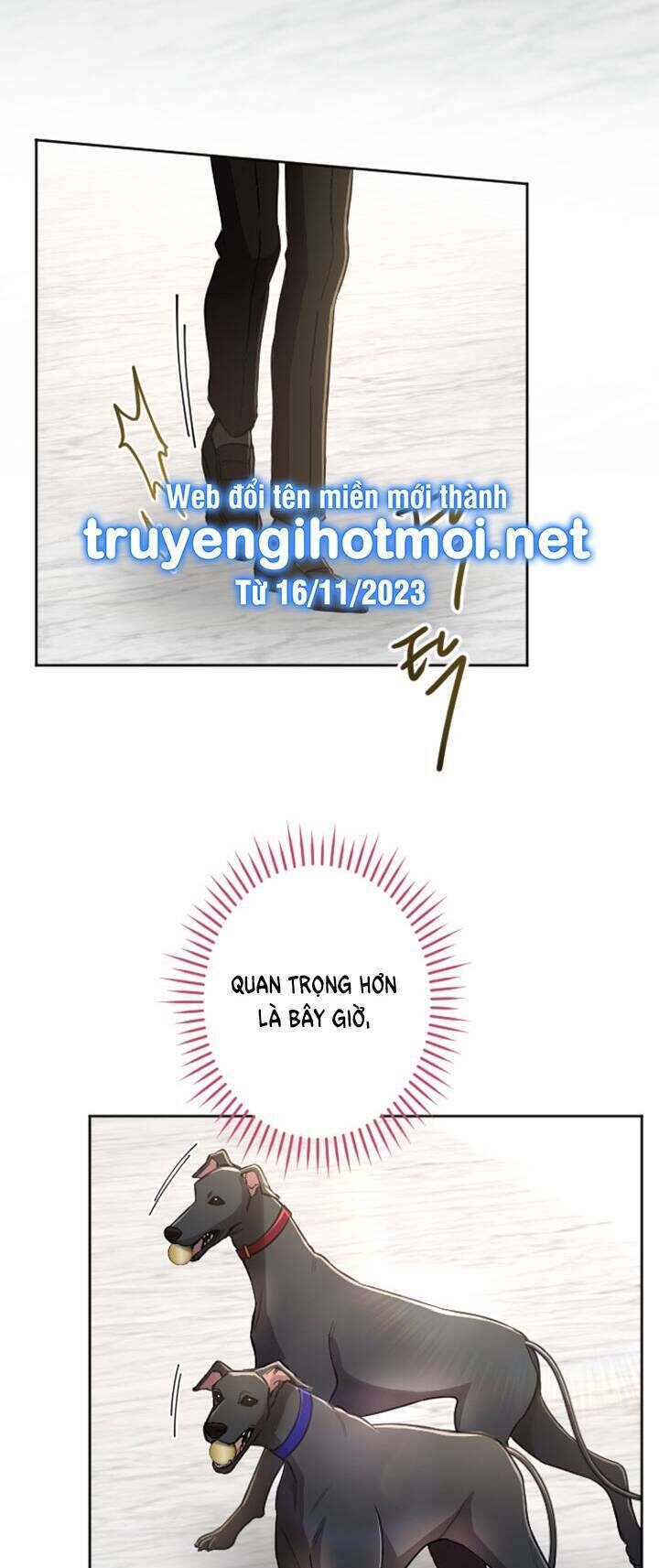 tôi sẽ bị trừ khử cùng hoàng đế chapter 74.1 - Trang 2