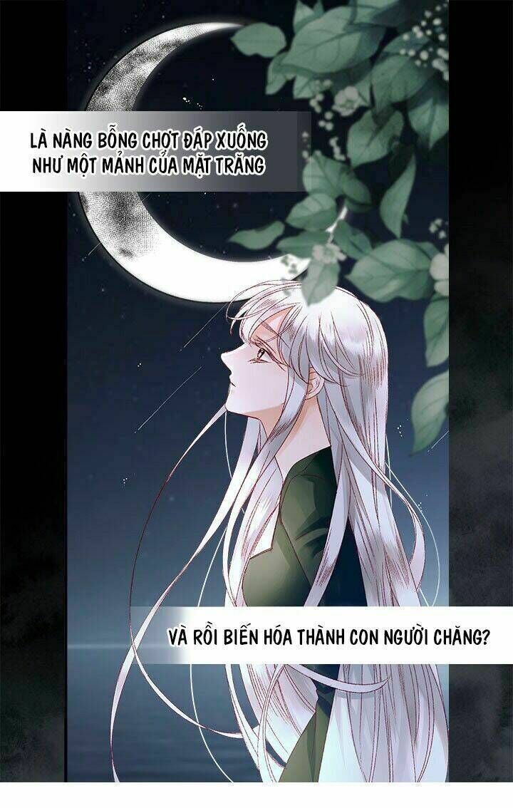 người tình của hoàng đế Chapter 9 - Next Chapter 10