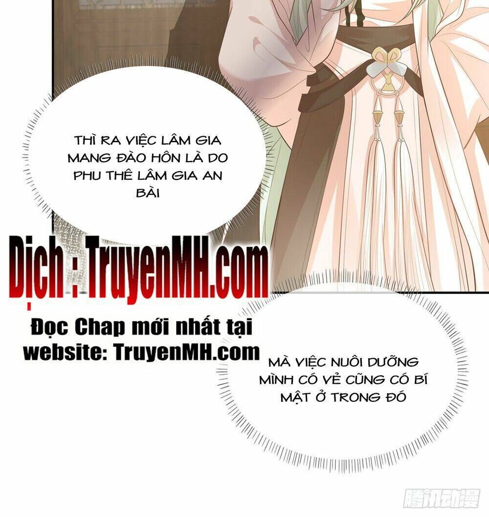 kiều mỵ phu lang, tại tuyến lục trà chapter 4 - Next chapter 5