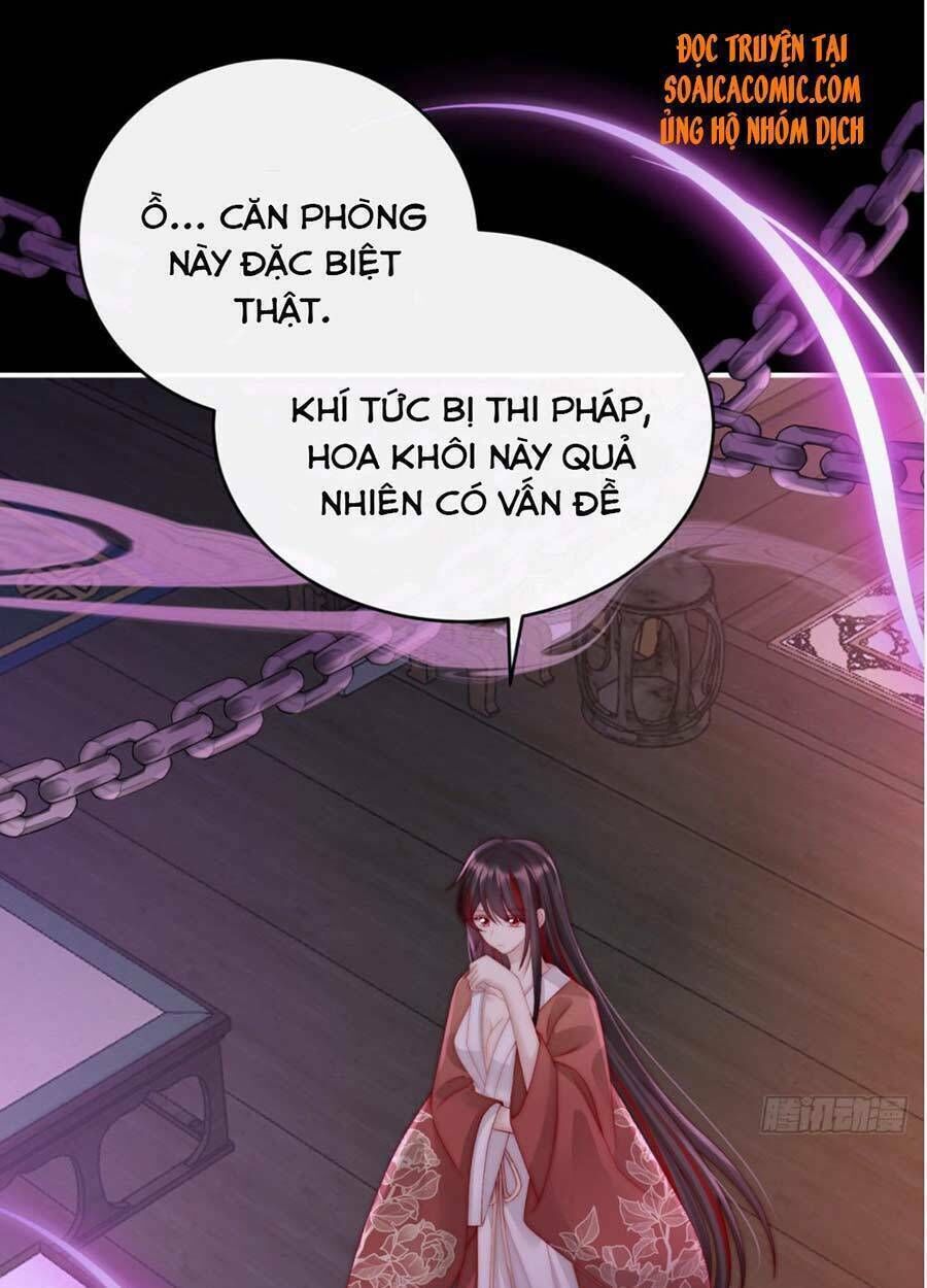 thê chủ, thỉnh hưởng dụng chapter 13 - Next chapter 14