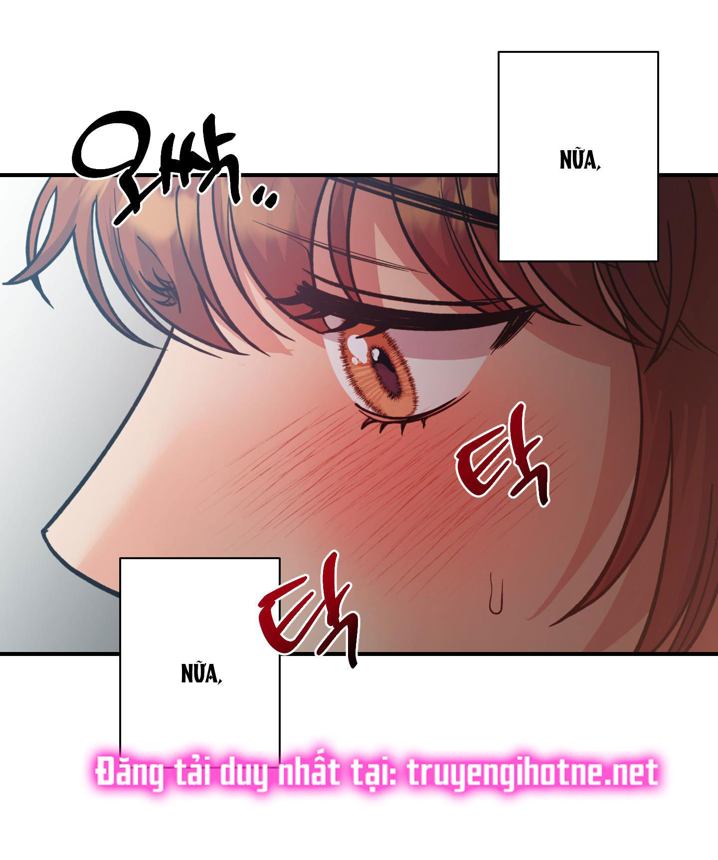 [18+] một lòng một dạ Chap 50.1 - Trang 2