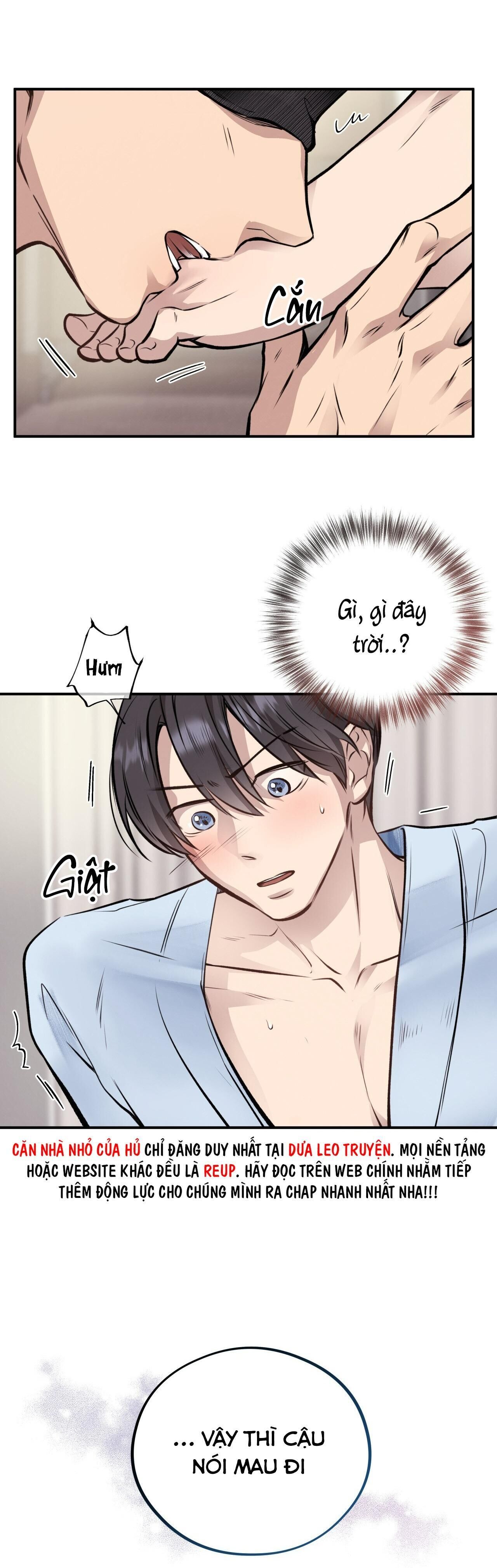 mật gấu Chapter 18 - Next Chương 19