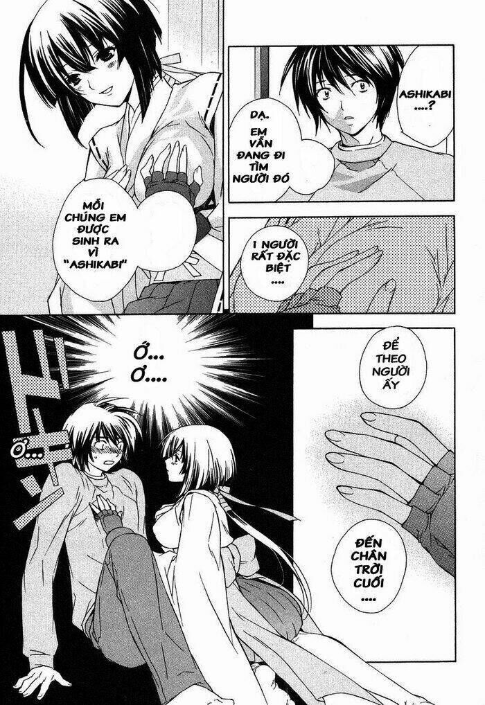 Sekirei Chapter 1 - Trang 2