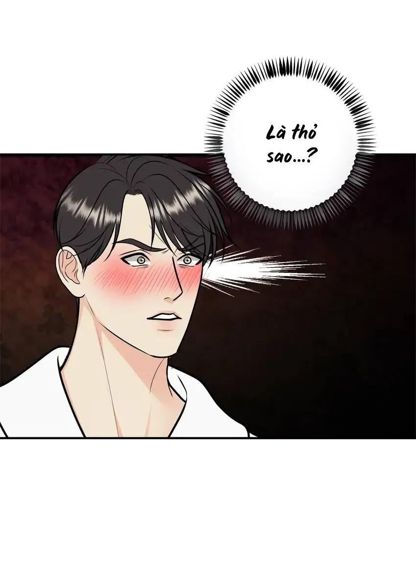 hạnh phúc trọn vẹn Chapter 58 - Trang 2