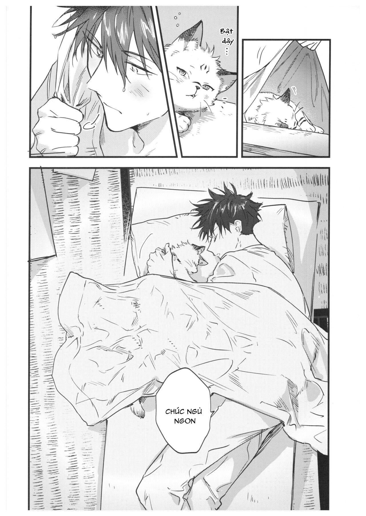 doujinshi tổng hợp Chapter 15.2 Megumi x Sukuna - Next 15.2