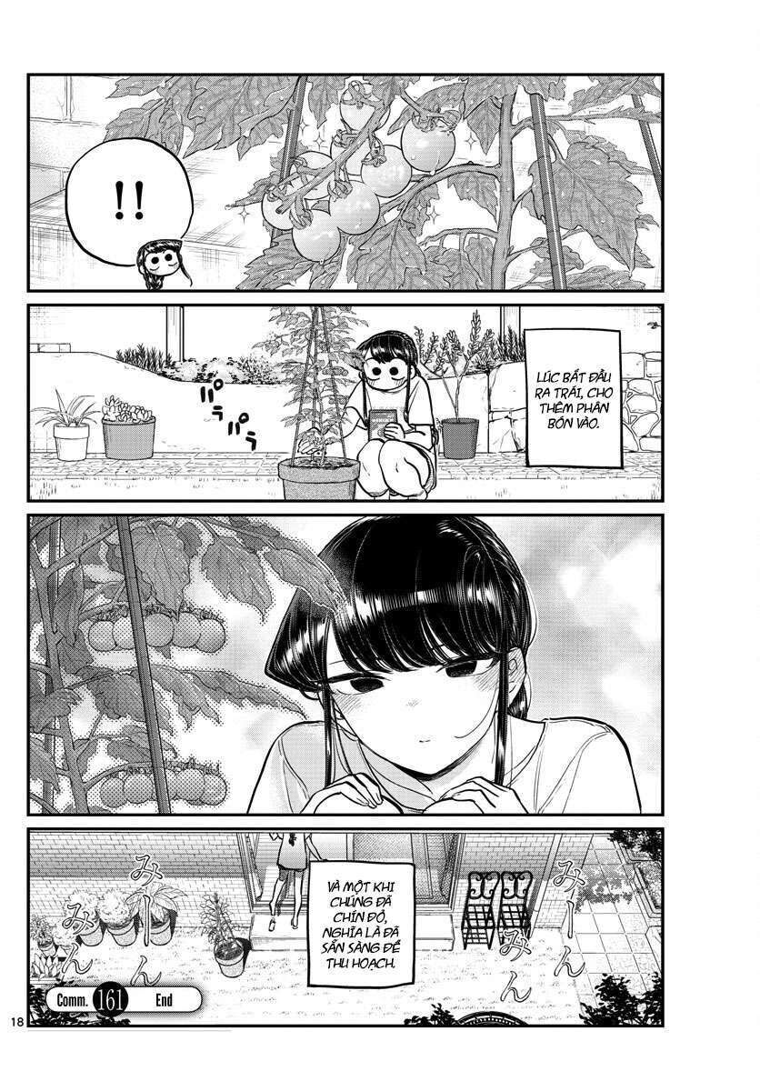 komi-san wa komyushou desu chapter 161 - Next chapter 162