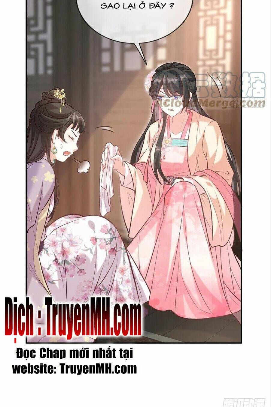 kiều mỵ phu lang, tại tuyến lục trà chapter 68 - Next chapter 69