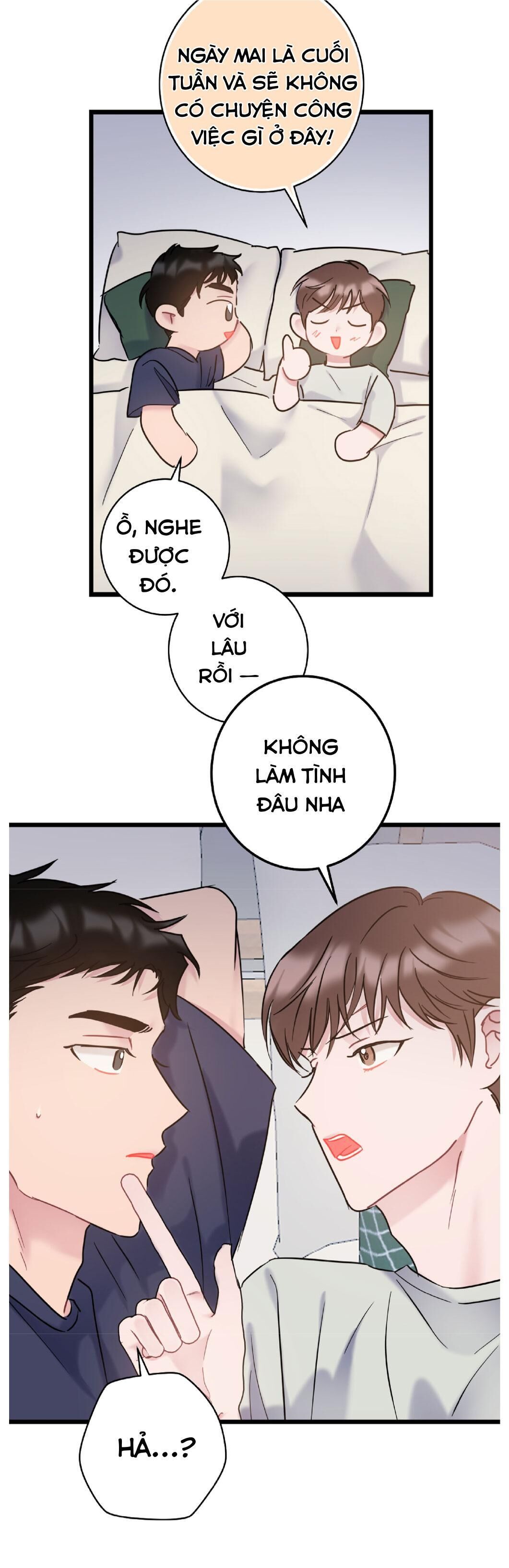 tình yêu bình dị nhất Chapter 27 - Trang 2