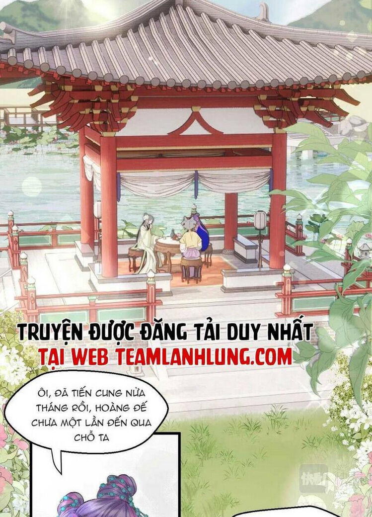 ta live stream trong lãnh cung chapter 5 - Next chapter 6