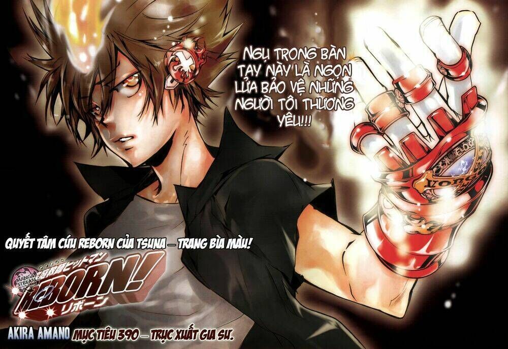 reborn: người đào tạo sát thủ chapter 390 - Trang 2