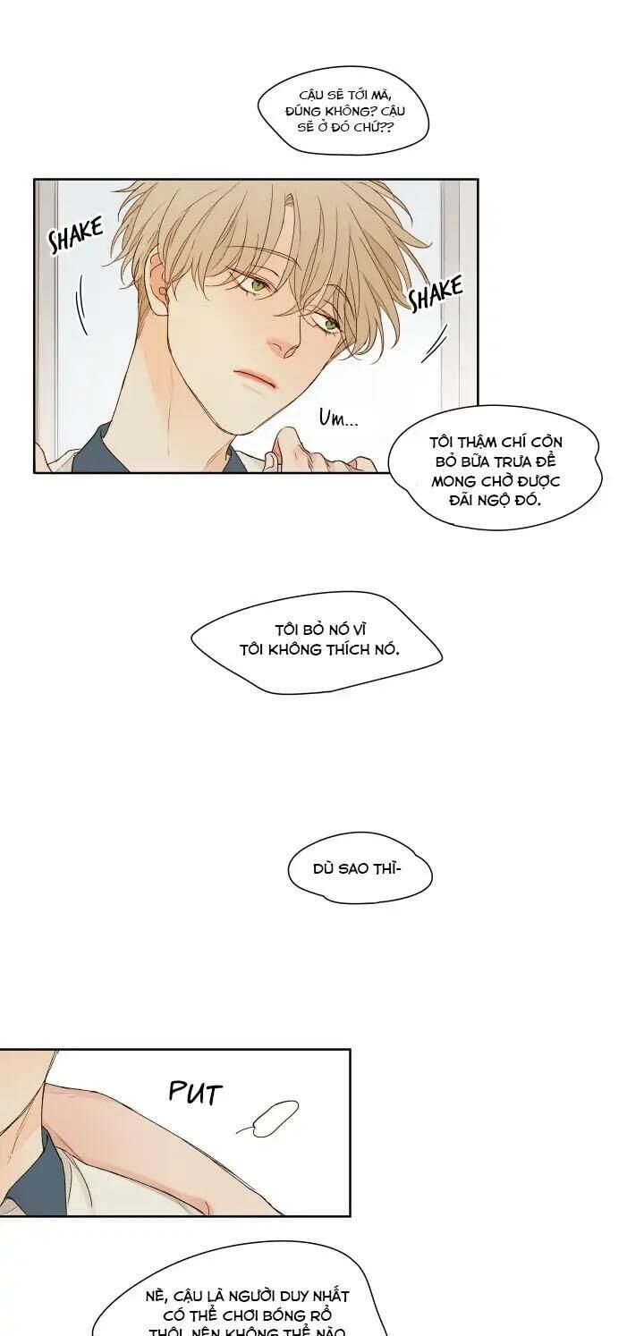 manhwa chịch vồn chịch vã Chapter 57 ÁNH MẮT - Next Chương 58