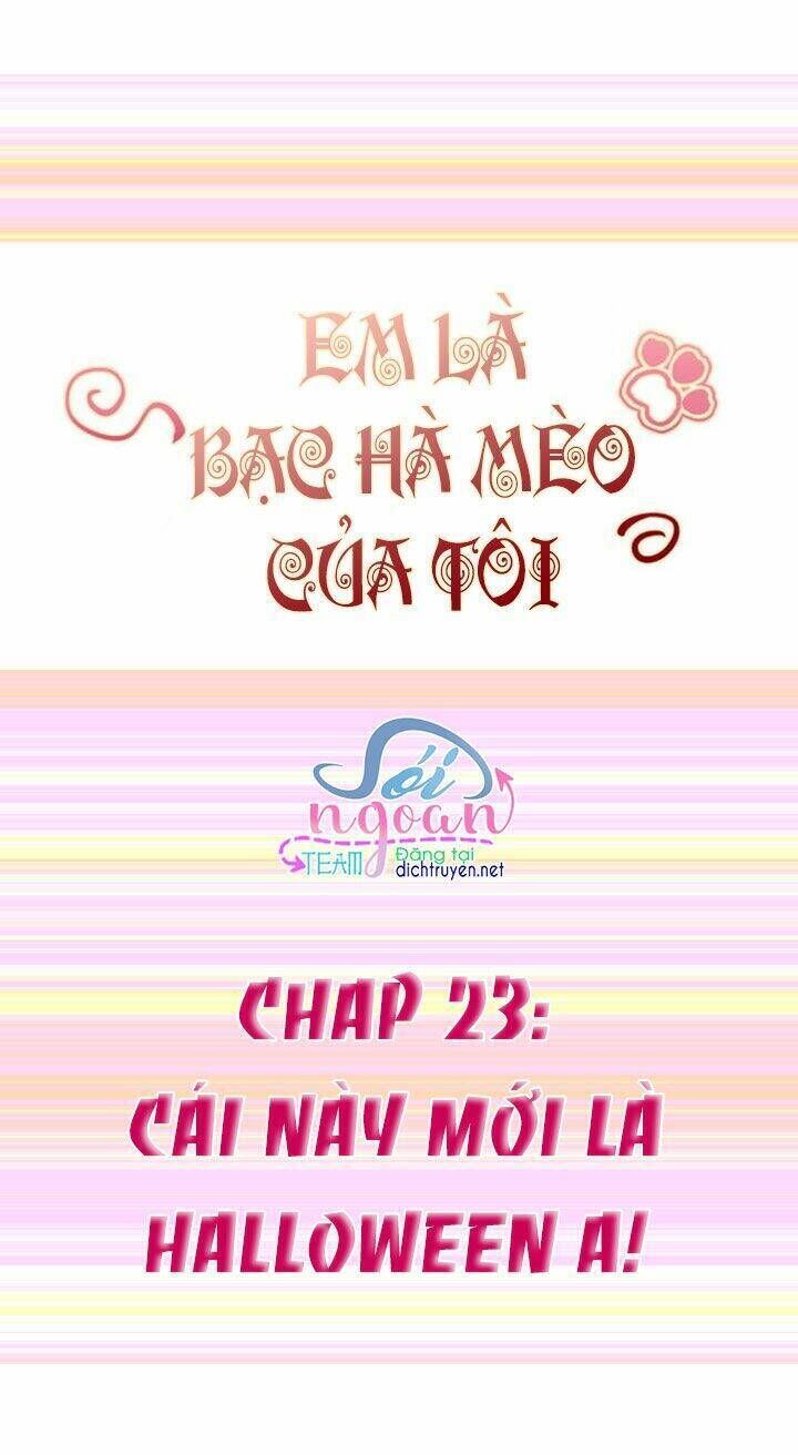 Em Là Bạc Hà Mèo Của Tôi Chapter 23 - Trang 2