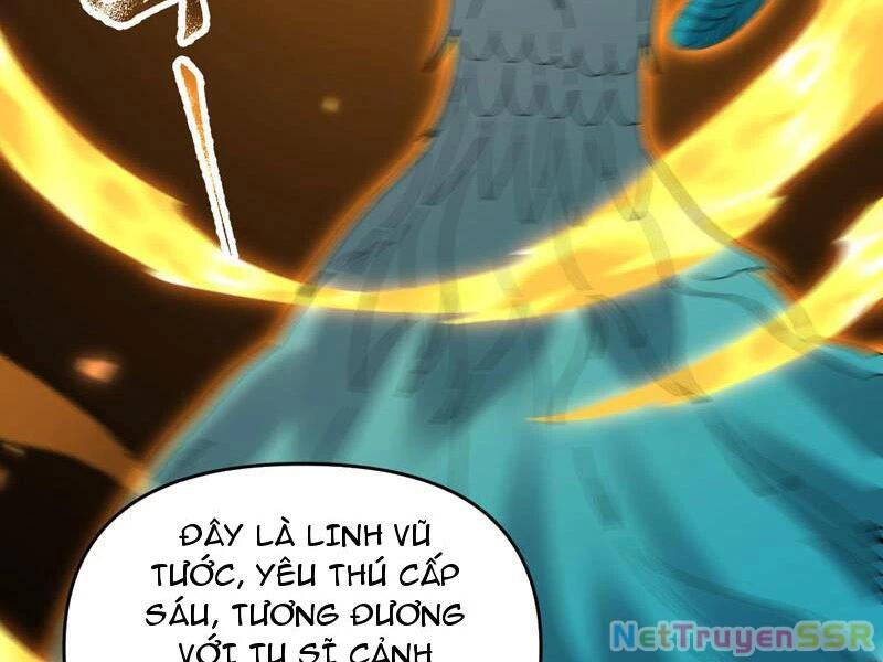 bắt đầu chấn kinh nữ đế lão bà, ta vô địch! Chapter 14 - Trang 2