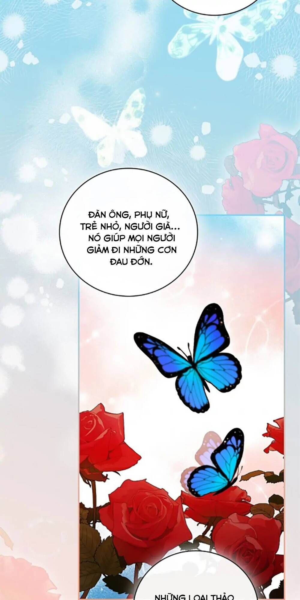 tôi trở thành mẹ của chiến binh chapter 18 - Next Chapter 18.1