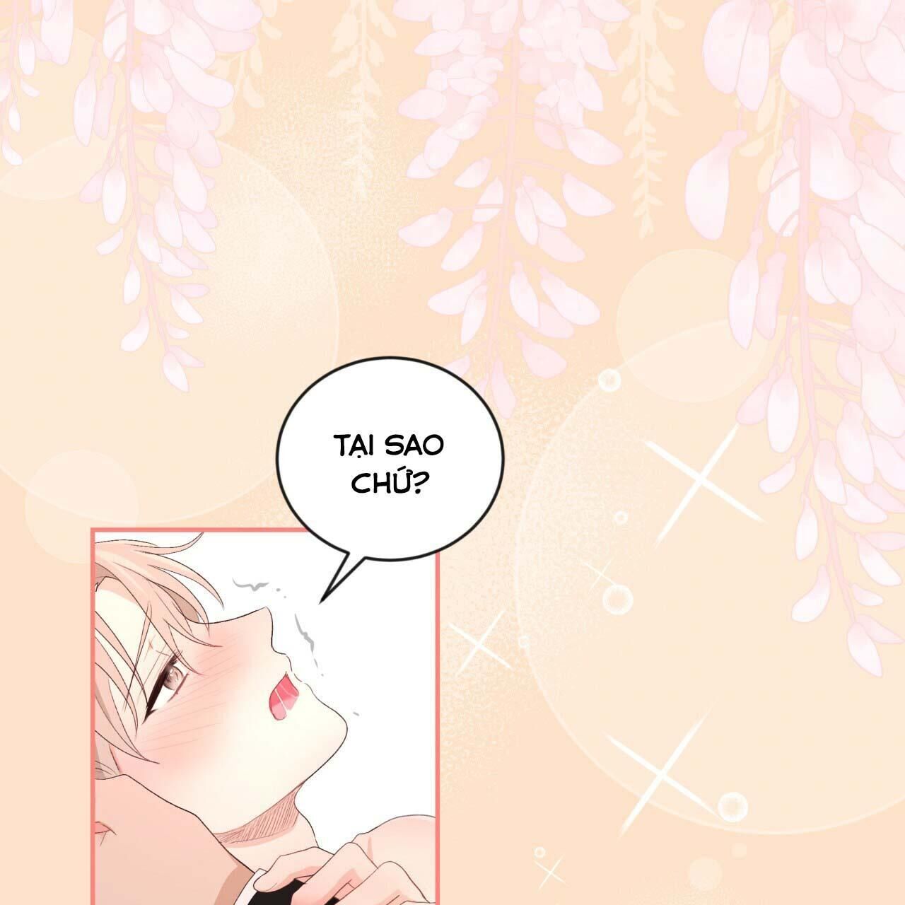 vị ngọt không đường (sweet not sugar) Chapter 14 - Trang 2