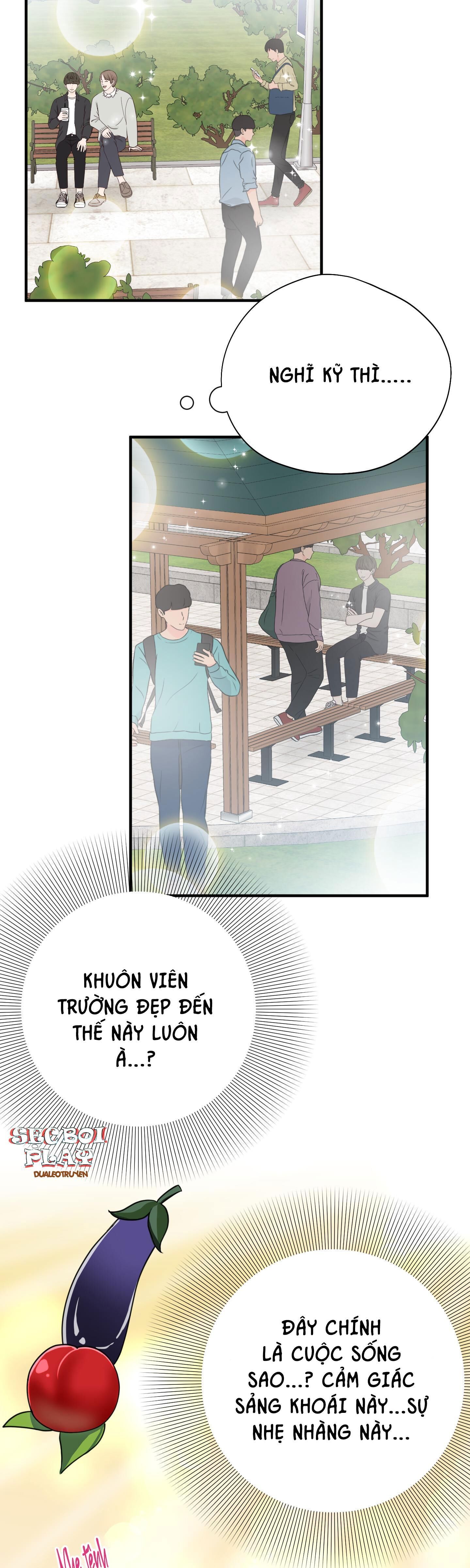 món quà dành cho kẻ ngạo mạn Chapter 12 - Next Chương 13