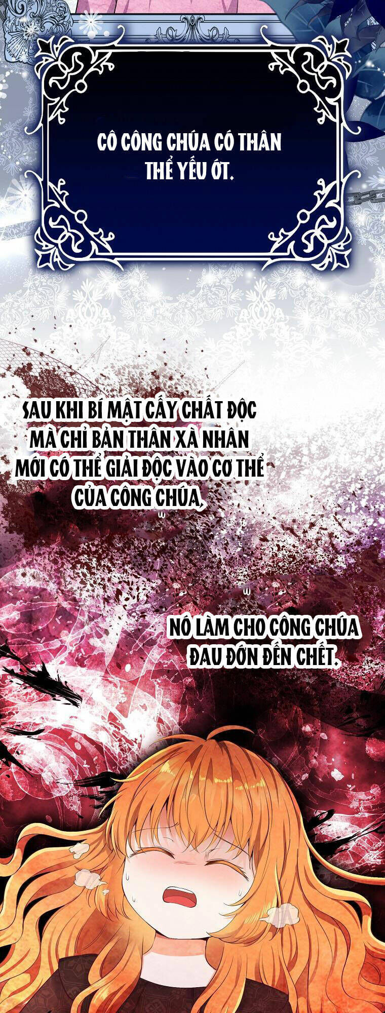 sóc nhỏ tài năng chapter 41 - Next chapter 42