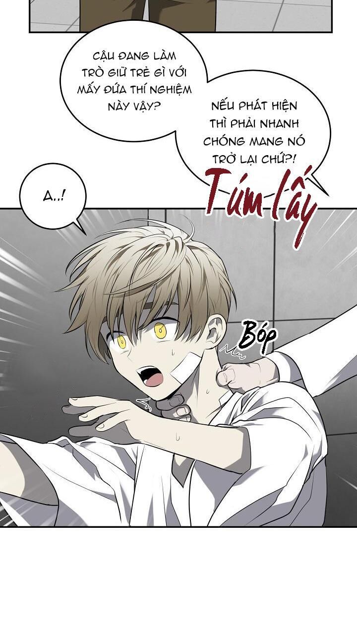 dưỡng thú cưng Chapter 28 - Next 29