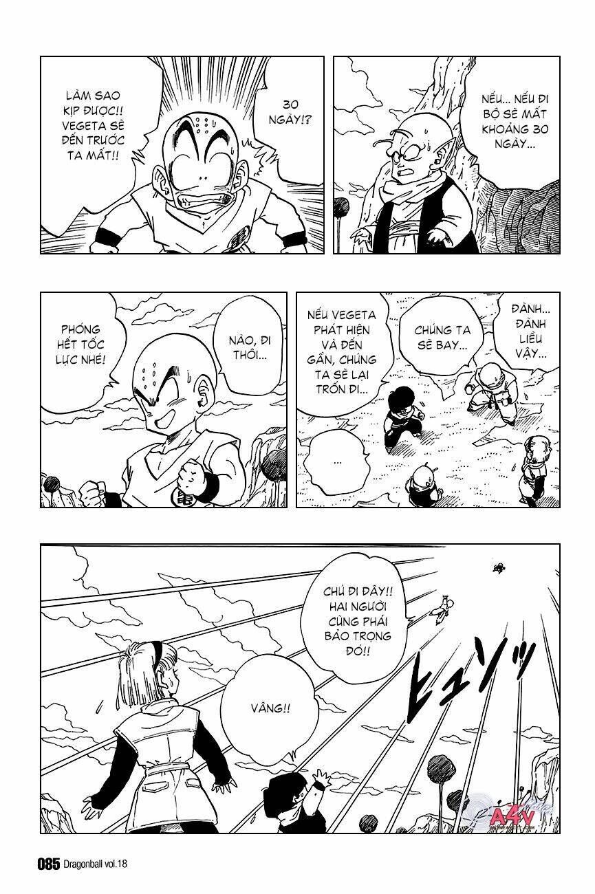 Dragon Ball - Bảy Viên Ngọc Rồng Chapter 260 - Next Chapter 261