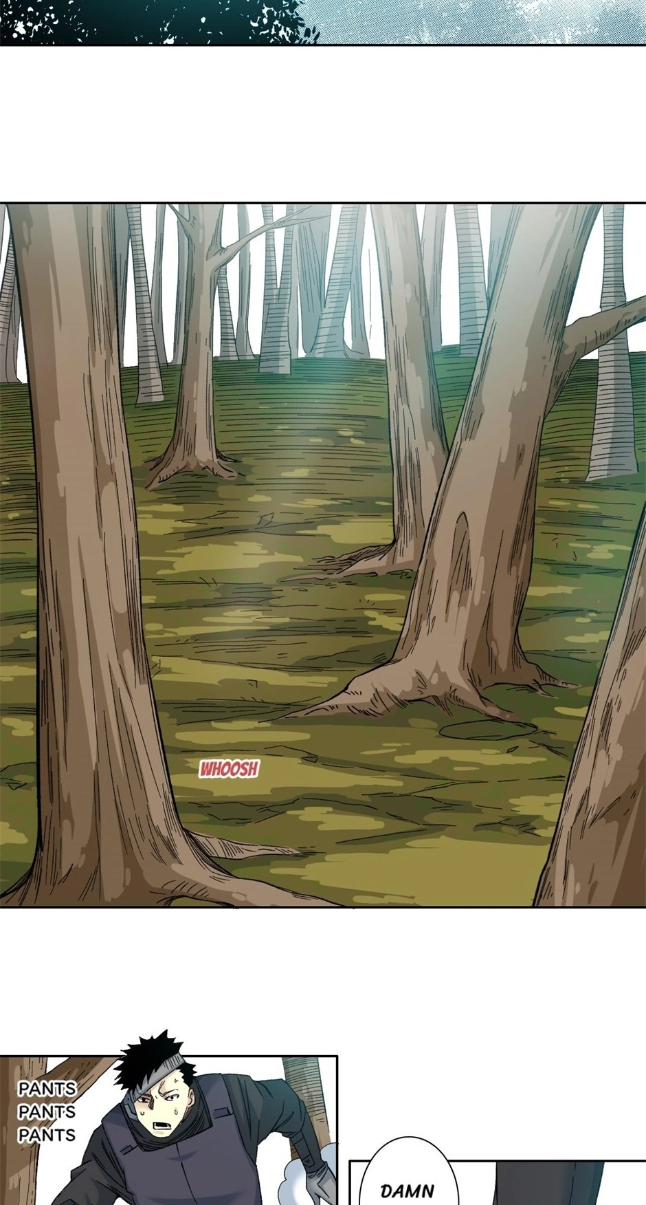 66355827 940 1752 290784